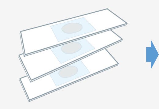 お客様による標本送付