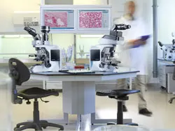 Routine Microscopy: Improving Productivity Through Better Ergonomics