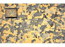 图像导航功能可以让您概览所采集的图像，方便在不同感兴趣区域之间进行切换。