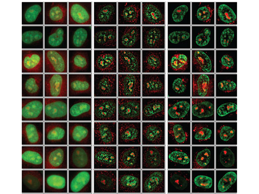 High Speed Deconvolution