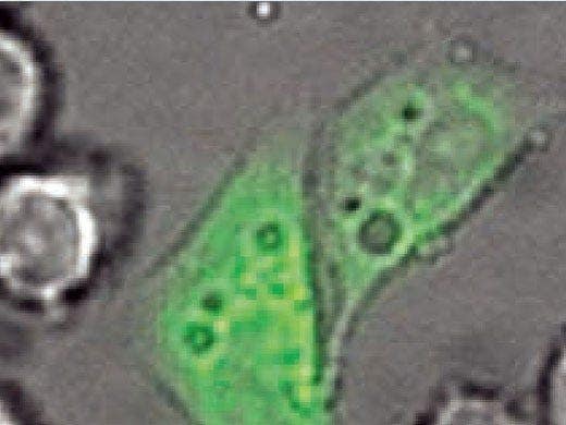 Overcoming the Limitations of Fluorescence