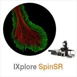IXplore SpinSR