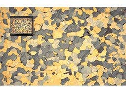 图像导航功能可以让您概览所采集的图像，方便在不同感兴趣区域之间进行切换。