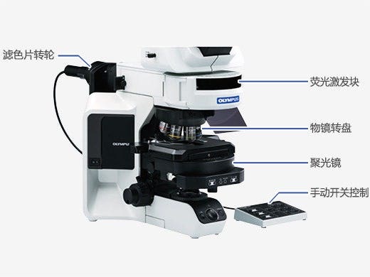 升级到电动组件