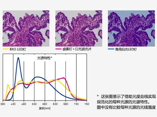 专为病理学和实验室设计的明亮LED照明
