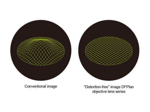 Versatile Stereo with Wide Zoom Ratio